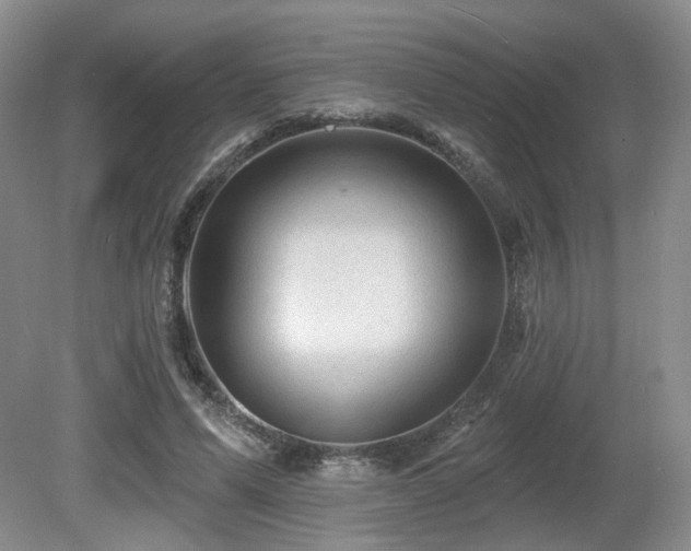 X0000080690591200612151251