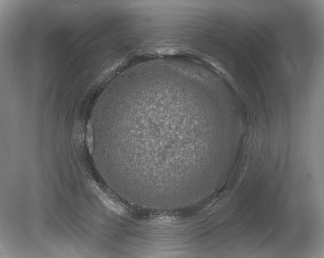 X0000080690593200612151251