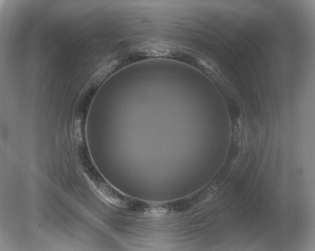 X0000080690598200612151251