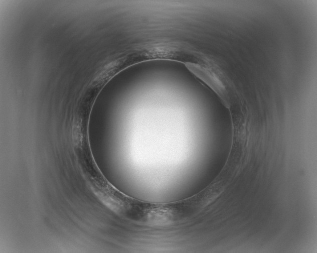 X0000080690599200612151251