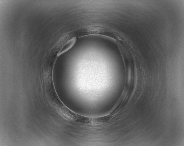 X0000080690601200612151251