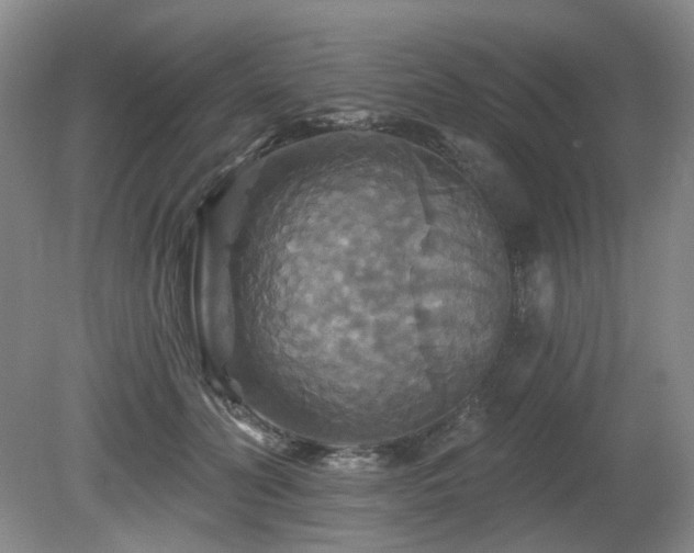 X0000080690606200612151251