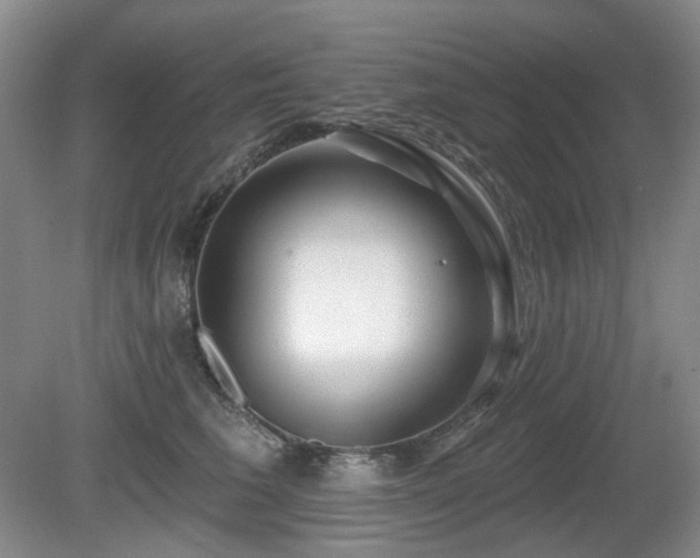 X0000080690613200612151250