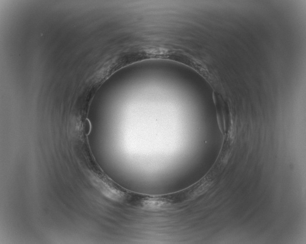 X0000080690614200612151250