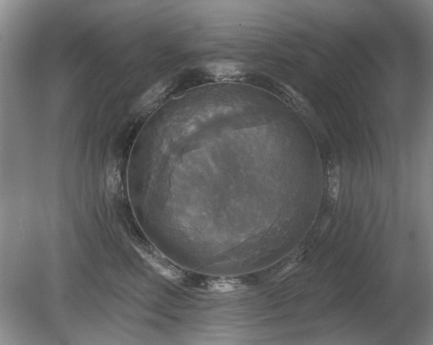 X0000080690618200612151250