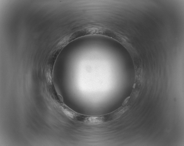 X0000080690622200612151250
