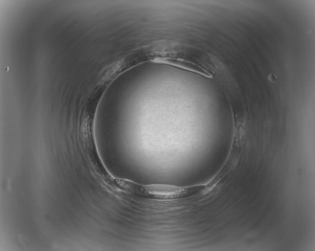 X0000080690623200612151250