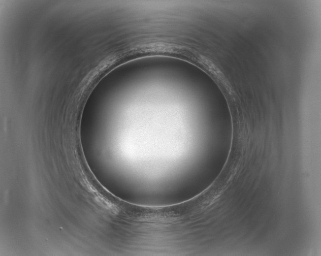 X0000080690625200612151249