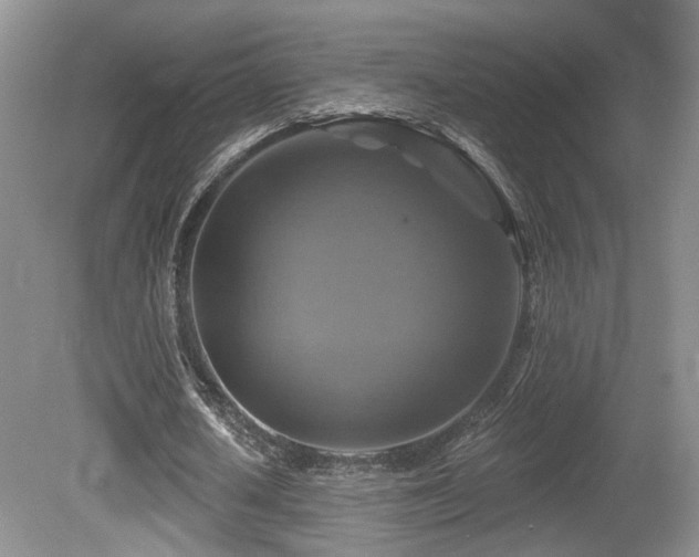 X0000080690626200612151249