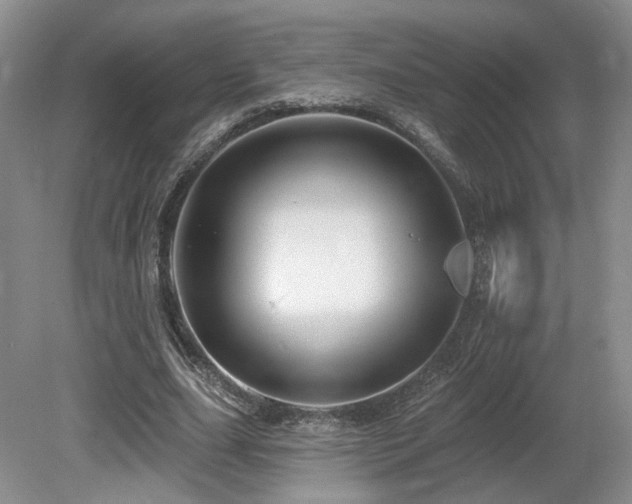 X0000080690631200612151250