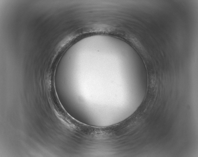 X0000080690632200612151250