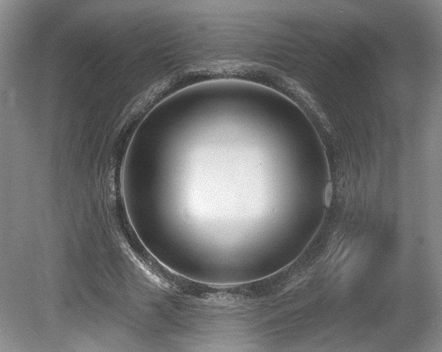 X0000080690633200612151250