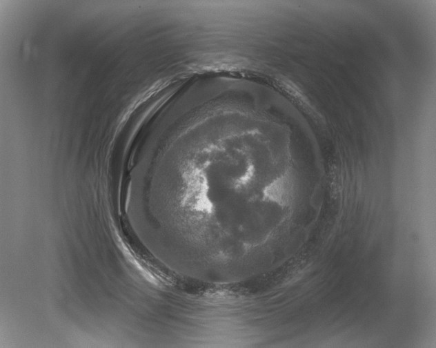 X0000080690634200612151250