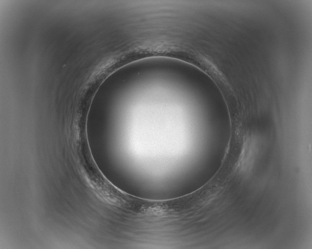 X0000080690635200612151250