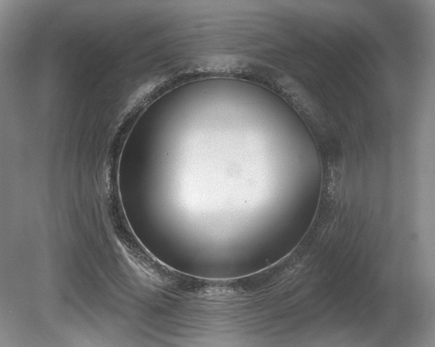 X0000080690636200612151250