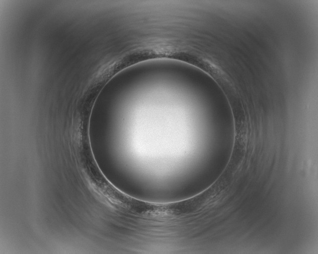 X0000080690639200612151250