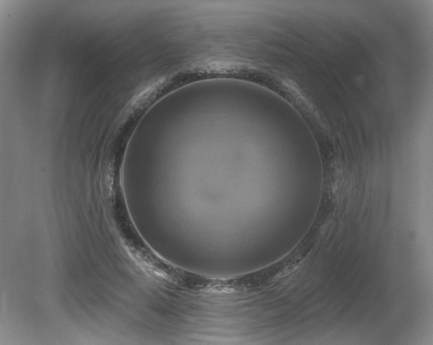 X0000080690640200612151250