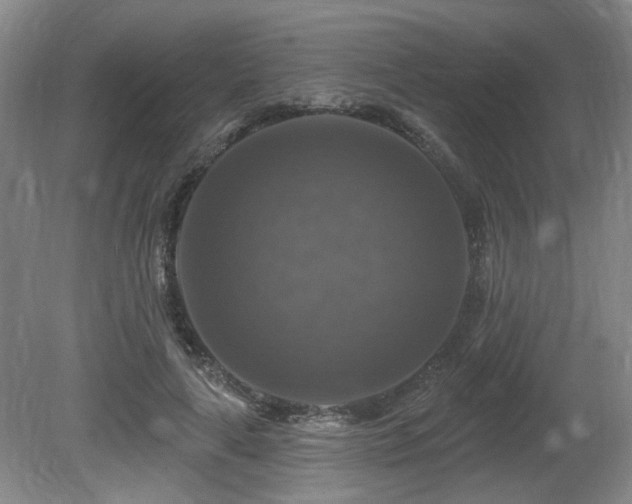 X0000080690643200612151250