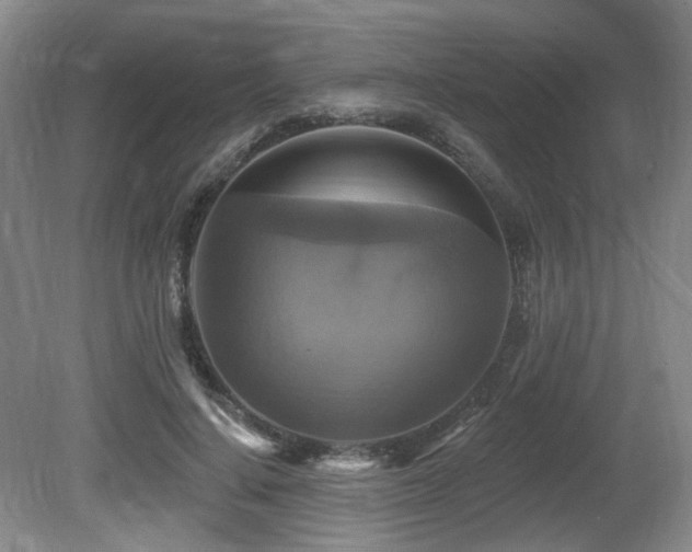 X0000080690644200612151250