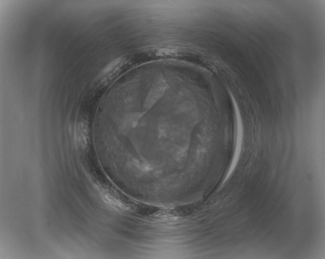 X0000080690648200612151250