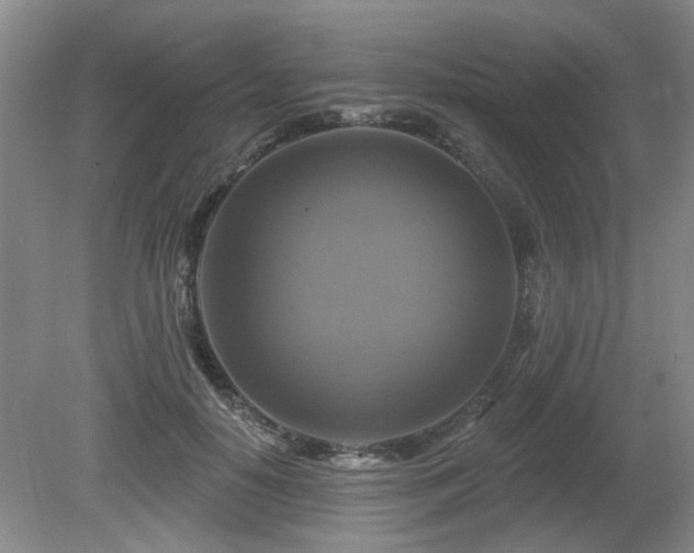 X0000080690650200612151250
