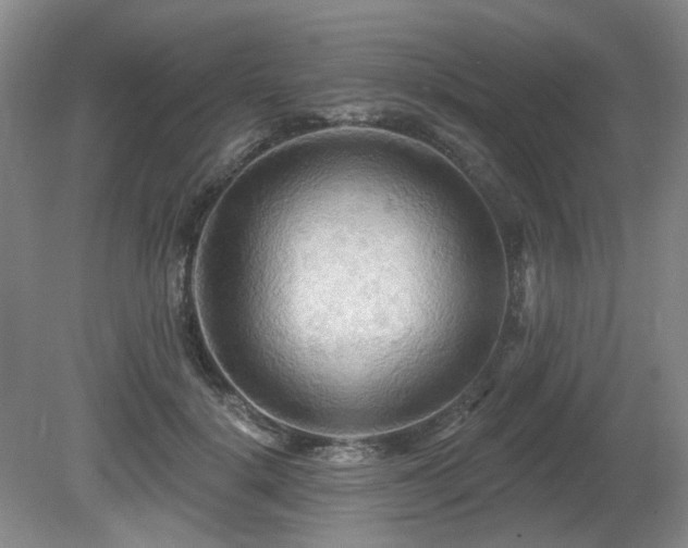 X0000080690652200612151250