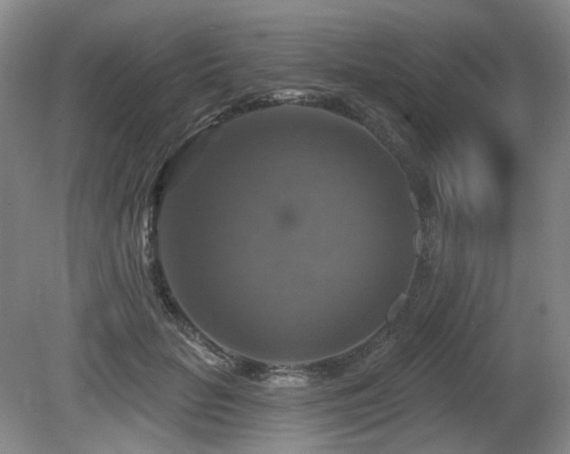 X0000080690653200612151250