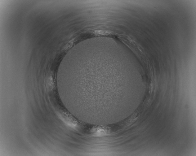 X0000080690655200612151250