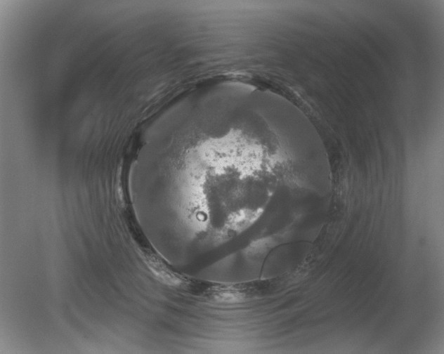 X0000080690658200612151250