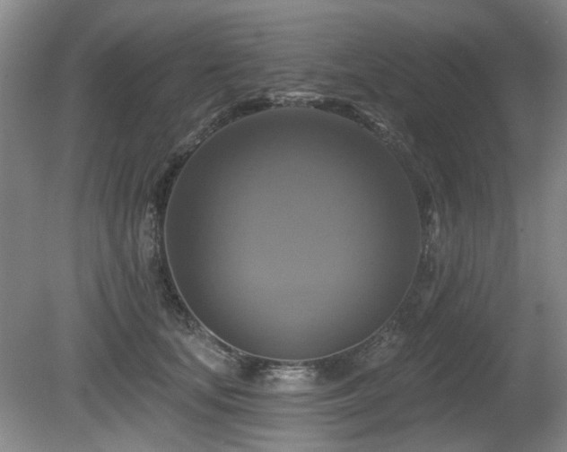 X0000080690659200612151250