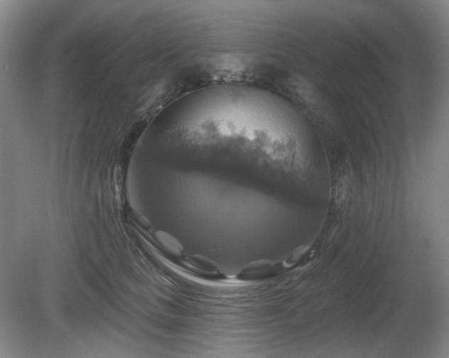 X0000080690661200612151250
