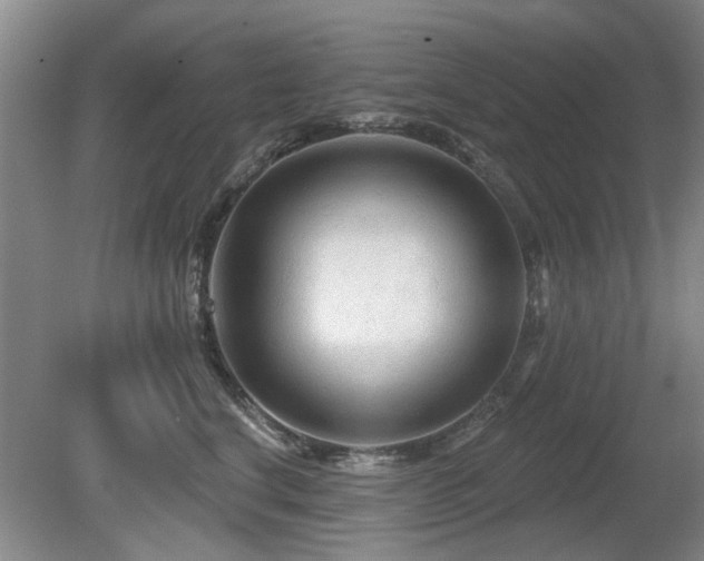 X0000080690664200612151250