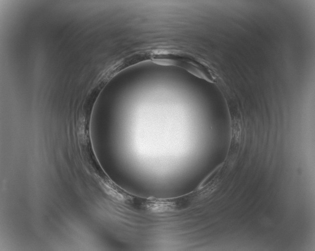 X0000080690670200612151250