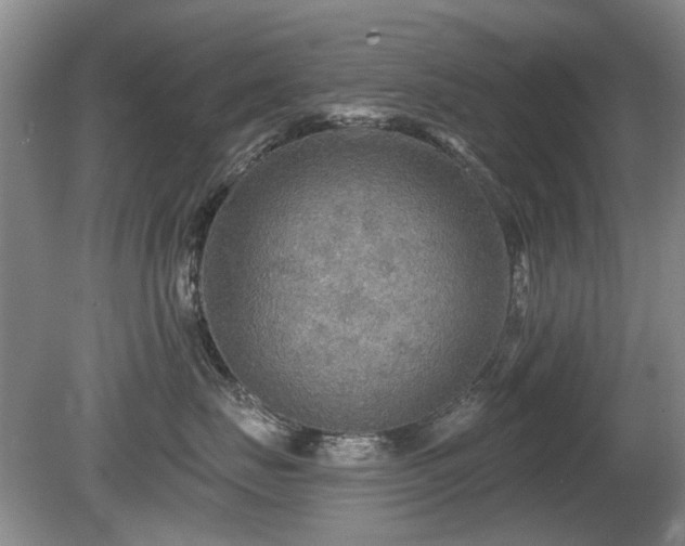 X0000080690671200612151250