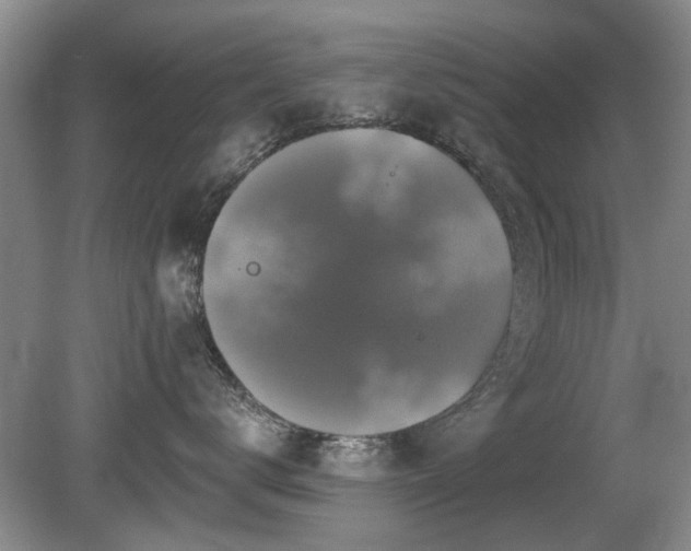 X0000080690672200612151250