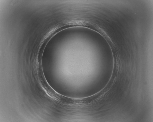 X0000080690674200612151249