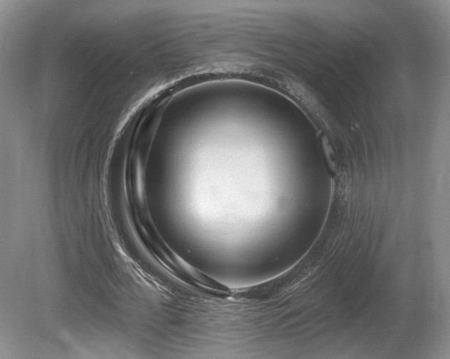 X0000080690676200612151249