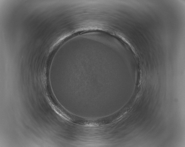 X0000080690677200612151249