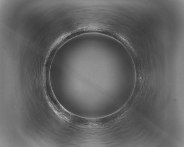 X0000080690678200612151249