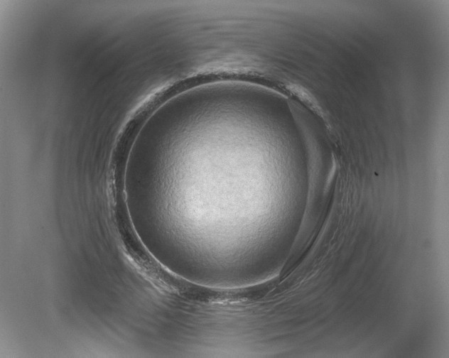 X0000080690680200612151249