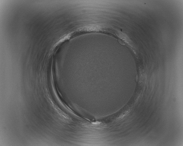 X0000080690681200612151249