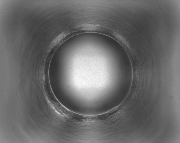 X0000080690682200612151249