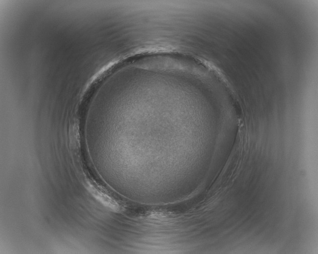X0000080690684200612151249
