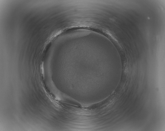X0000080690685200612151249