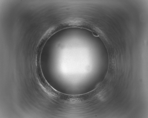 X0000080690686200612151249