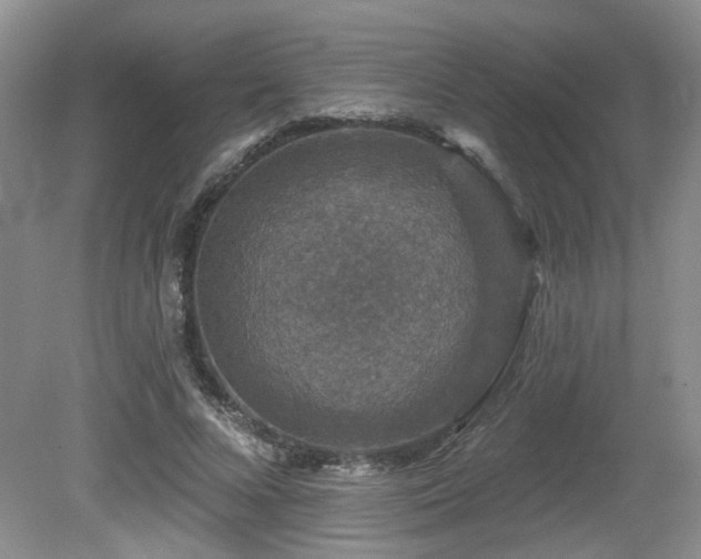 X0000080690688200612151249