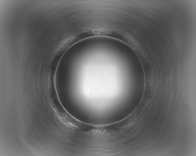 X0000080690690200612151249