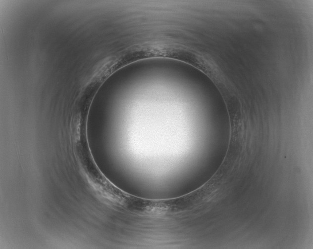 X0000080690694200612151249