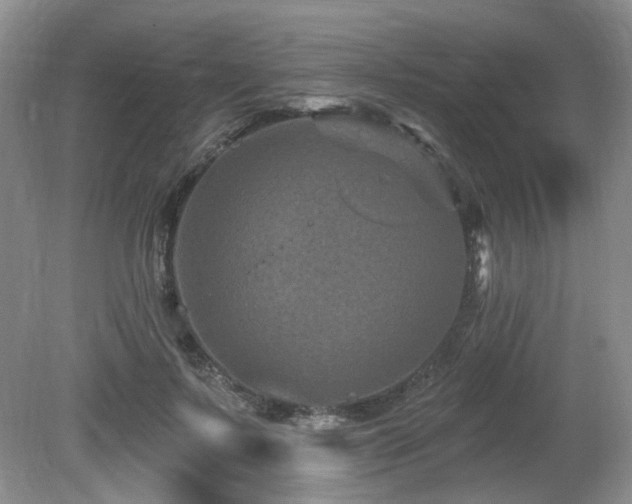 X0000080690695200612151249