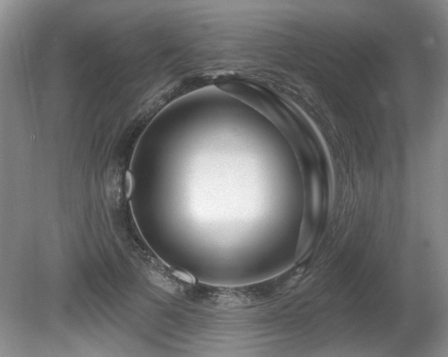 X0000080690697200612151249
